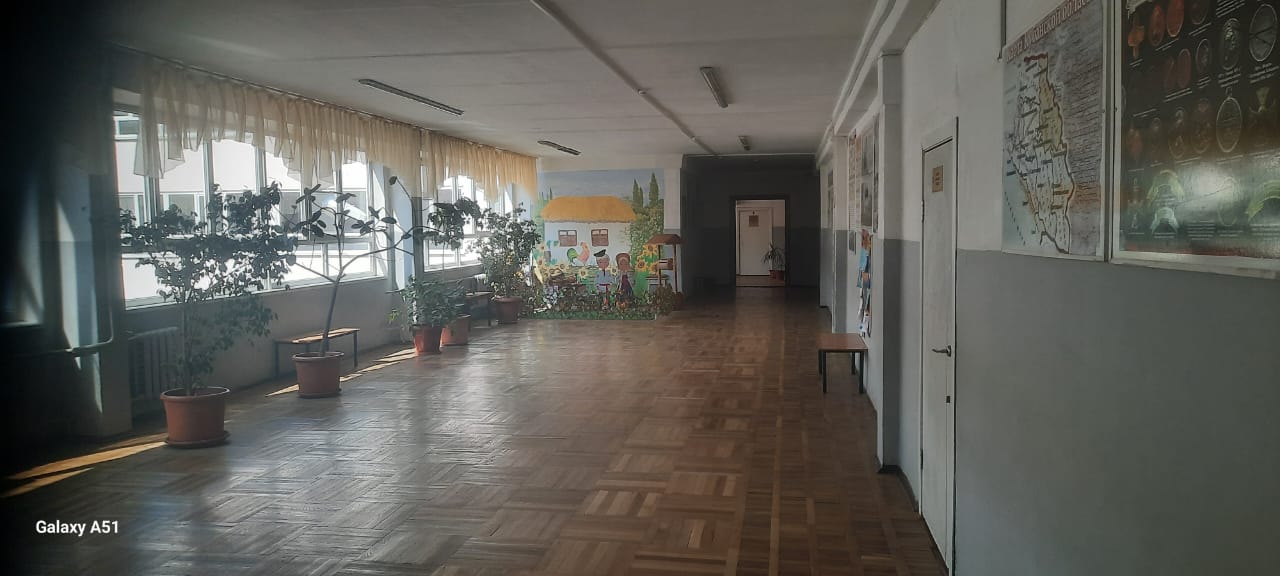 Фотография школы.